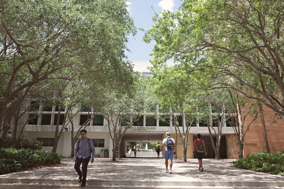 Students walking on a sunlit university campus